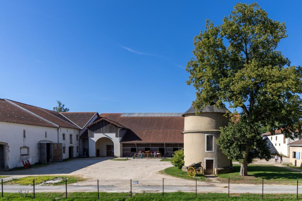 Hotel Du Chateau Villers-les-Nancy ภายนอก รูปภาพ